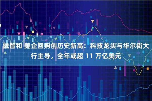 融智和 美企回购创历史新高：科技龙头与华尔街大行主导，全年或超 11 万亿美元